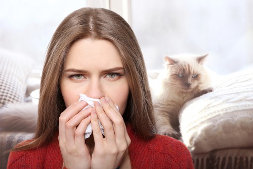 The Difference Between Allergen and Allergy
